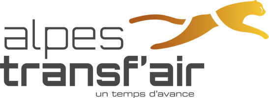 optional logo